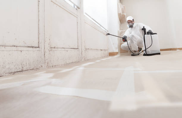 24/7 Emergency Mold Remediation experts in Dover, TN